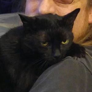 Meet your Posher, Dan